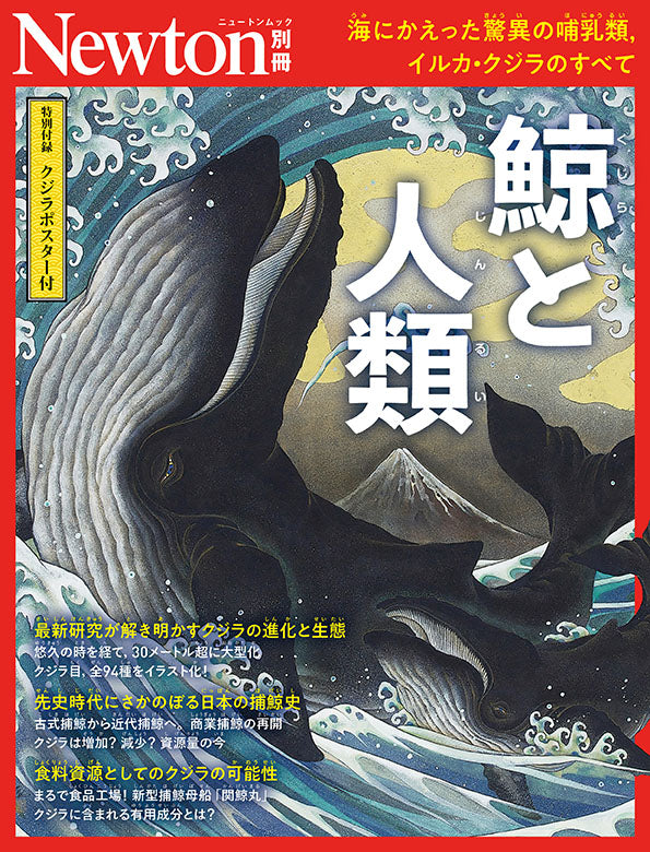 4/16 Newton別冊『鯨と人類』刊行記念スペシャルトークライブ！ 加藤
