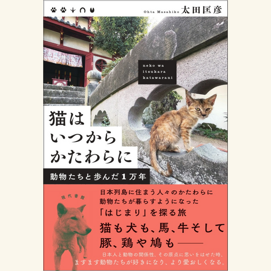 11/21　太田匡彦さん著『猫はいつからかたわらに』（現代書館）刊行記念トークイベント　浅田美代子さんと一緒に考える「次の動物愛護法の改正、どうあるべきか」