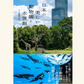 8/8　『日本の美しい動物園と水族館』刊行記念！　銀鏡つかさトークイベント＆サイン会　「水族館写真家が語る、沼る動物園・水族館」