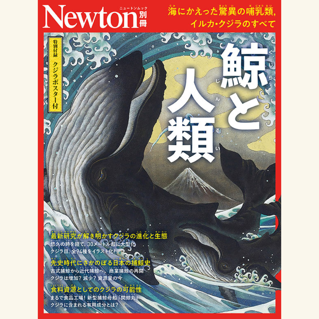 4/16 Newton別冊『鯨と人類』刊行記念スペシャルトークライブ！ 加藤